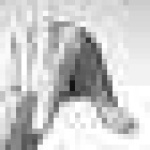 image of sign_language