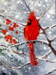 image of cardinal