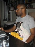 image of italian_greyhound