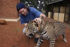 image of jaguar_car