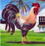 image of rooster