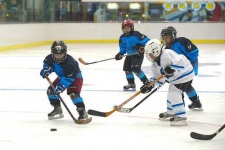image of puck