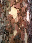 image of texture