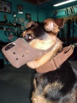 image of muzzle