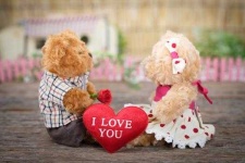 image of teddy_bear