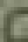 image of char