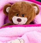 image of teddy