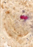image of texture