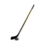 image of hockey_puck