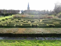 image of maze