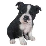 image of animal