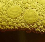 image of bubbly #12