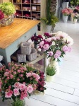 image of indoor