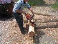 image of chain_saw #14