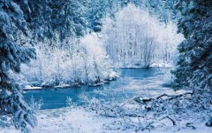 image of snowy