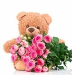 image of teddy_bear