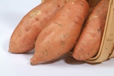 image of sweetpotato #27