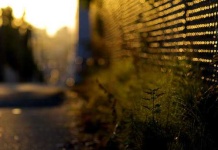 image of chainlink_fence