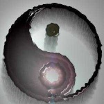 image of yin_yang #24