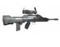 image of gun