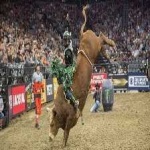 image of sport