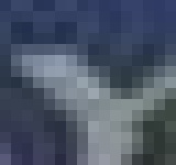 image of char