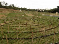 image of maze