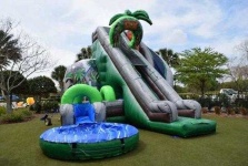image of waterslide