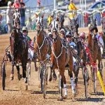 image of harness_racing #4