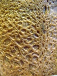 image of texture