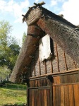 image of thatch