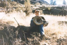 image of bighorn