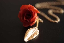 image of jewellery