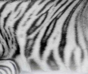 image of texture