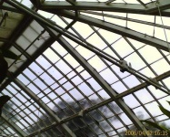 image of greenhouse