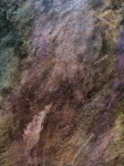 image of texture