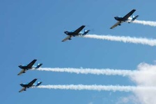 image of wing