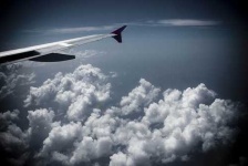 image of wing