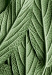 image of texture