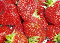 image of strawberry #33