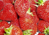image of strawberry