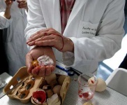 image of lab_coat