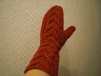 image of mitten