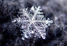 image of snowflake