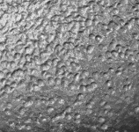 image of texture