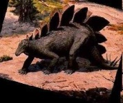 image of stegosaurus