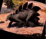 image of stegosaurus #45