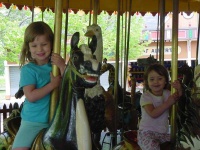 image of carousel