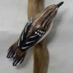 image of bird