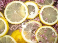 image of lemon
